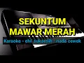 Karaoke dangdut//sekuntum mawar merah// NADA cewek //elvi sukaesih // by jampangpbg //psr670