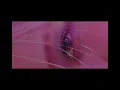 Download Lagu ROSÉ -R- [FILM Official] FIRST SINGLE ALBUM -R- @roses_are_rosie ROSÉ - Topic
