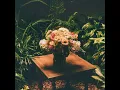 Fruit Takes Time - SEU Worship & Chelsea Plank