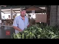 Farmers Markets May Accept SNAP EBT in Tennessee - Archived