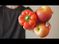I learned to Juggle in 24 HOURS with no experience