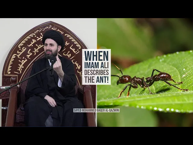 When Imam Ali Describes The Ant! - Sayed Mohammed Baqer Al-Qazwini