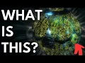 Exploring a broken Birch World - Stellaris Lore Gigastructures