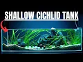 Download Lagu I MADE A SHALLOW AQUARIUM FOR THE WORLD'S SMALLEST CICHLID
