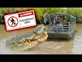 Download Lagu Giant Crocodile FOUND - Could You Outswim Him?