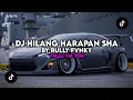 DJ HILANG HARAPAN SHA REMIX BY RULLY FVNKY VIRAL TIK TOK