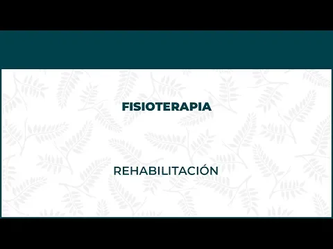 Rehabilitación. Fisioterapia - FisioClinics Bilbao, Bilbo