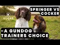 Springer vs Cocker - Which Do I Prefer