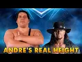 How Tall was Andre the Giant