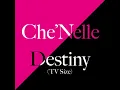 Destiny (TV Size)