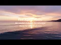 Pink Alpha Waves Minimalist Ambient Soundscape Visuals for Meditation and Deep Focus
