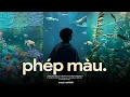 Download Lagu Phép Màu, Lễ Đường - Chẳng Phải Phép Màu Vậy Sao ♬ BXH Nhạc Lofi Chill Top Xu Hướng 2025 Triệu View