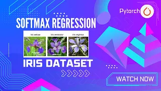 Softmax Regression from Scratch Pytorch with Iris Dataset Coding Tutorial