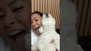 My Bichon Frise sings when I say ‘I love you,’ but instead of a sweet duet.