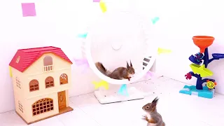 Funny Moments of Animals Eating & Their Authentic Nature Sounds