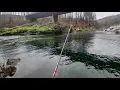 Fishing for Coho winter steelhead on the North Umpqua River