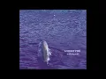 Lagu A Violet Pine - Nothing Safe (Full Album 2025)