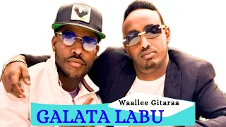 Galata Labu JAALALA MOO New Oromo Music 2025 Neworomomusic 