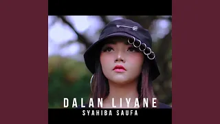 Download Dalan Liyane MP3