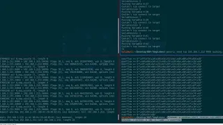 Exploiting VulnServer