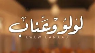 لولو و عن اب الهاجس الدرعي كلمات جمعه سعيد يوسف الكعبي 
