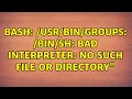 bash groups bad interpreter No such file or directory