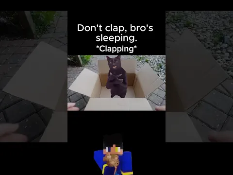 Cat clapping meme vs Verity meme