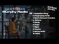 BEST OF MURPHY RADIO | FULL ALBUM MURPHY RADIO