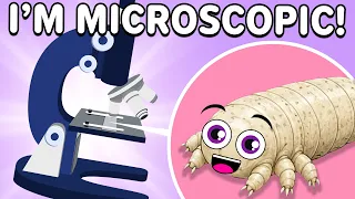 You Will Never Guess What Lives In Your Hair! | KLT Anatomy