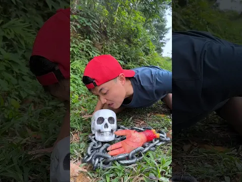 Survival Skills SMART Idea and USEFUL insani kankal #bushcraft #camping #outdoors #usefulpart59