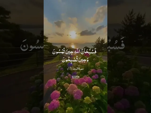 ⁣بِسْمِ اللَّهِ الرَّحْمَنِ الرَّحِيم✨#سورة_النور#تلاوة #قرآن #آيات