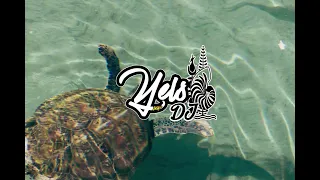 GENEZIO X LA MANO X LETO X LANDY X DJ YELS_REGGAE MASHUP 2026