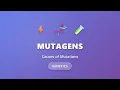 Mutagens Causes of Mutations Physical Chemical Agents Damaging DNA Genetics
