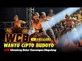 Download Lagu Junior !!! Warok WCB WAHYU CIPTO BUDOYO - LIVE Glondong Batur Sawangan Magelang