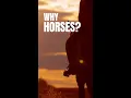 Download Lagu Emotional Regulation Through Horses | Equine Ethology with Legend Acres