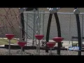 McPherson child shot with arrow on school playground