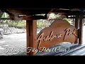 Download Lagu Tolong - Feby Putri (Cover)