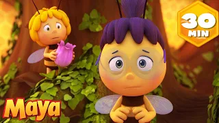 ¡Maya ayuda a acabar con el acoso escolar! ❌🐝 La Abeja Maya | Recopilación | Dibujos Animados