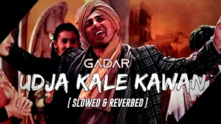 udja kale kawan gadar lofi slowed u0026reverbed victory gadar udjakalekawan music lofi