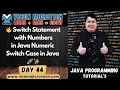 Switch Statement with Numbers in Java Numeric Switch Case in Java