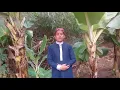 Download Lagu Surah Al Qadr  (The Night of Power ) Children Memorise   kids Learning quran by touqeer ahmad khan