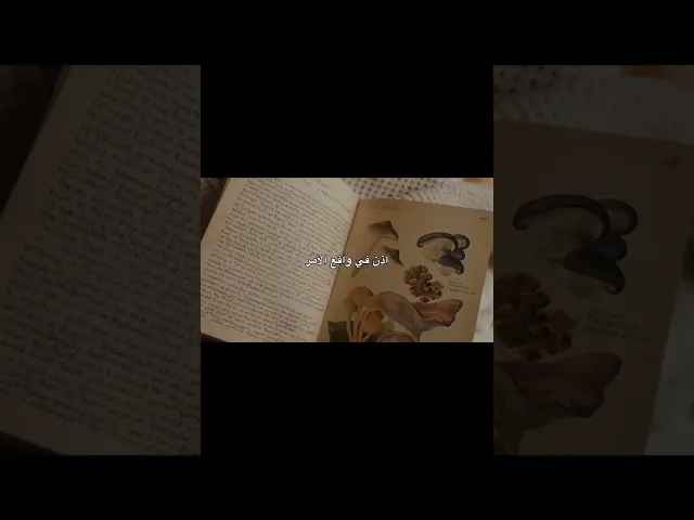 اتصلي او لا ، انت وربك ،، الشيخ احمد الوائلي رحمه الله