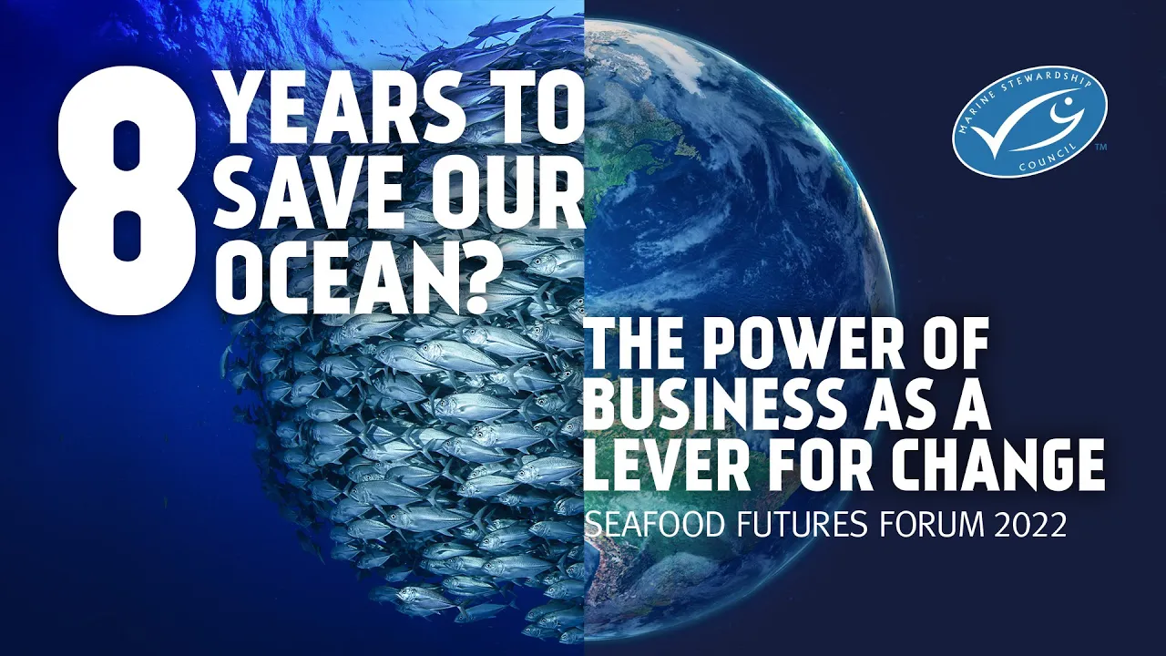 Eight Years to Save Our Ocean: The Power of Business as a Lever of Change