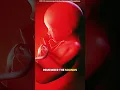 Download Lagu Does the fetus feel sad when the mother cries? #music #motivation #babytonight #pregnancybrain