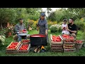Winter Tomato Storage Rustic Family Method