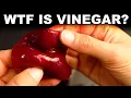 WTF is vinegar And what is its MOTHER