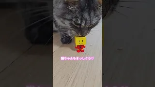 Kairobot USB Stick