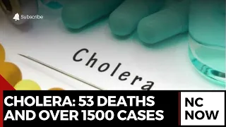 cholera outbreak in nigeria 53 deaths and over 1500 cases reported in 2024