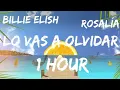 Lagu Billie Eilish, ROSALÍA - Lo Vas A Olvidar (1 Hour)