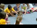 Girl sorry for not donating to Animal Humane Society